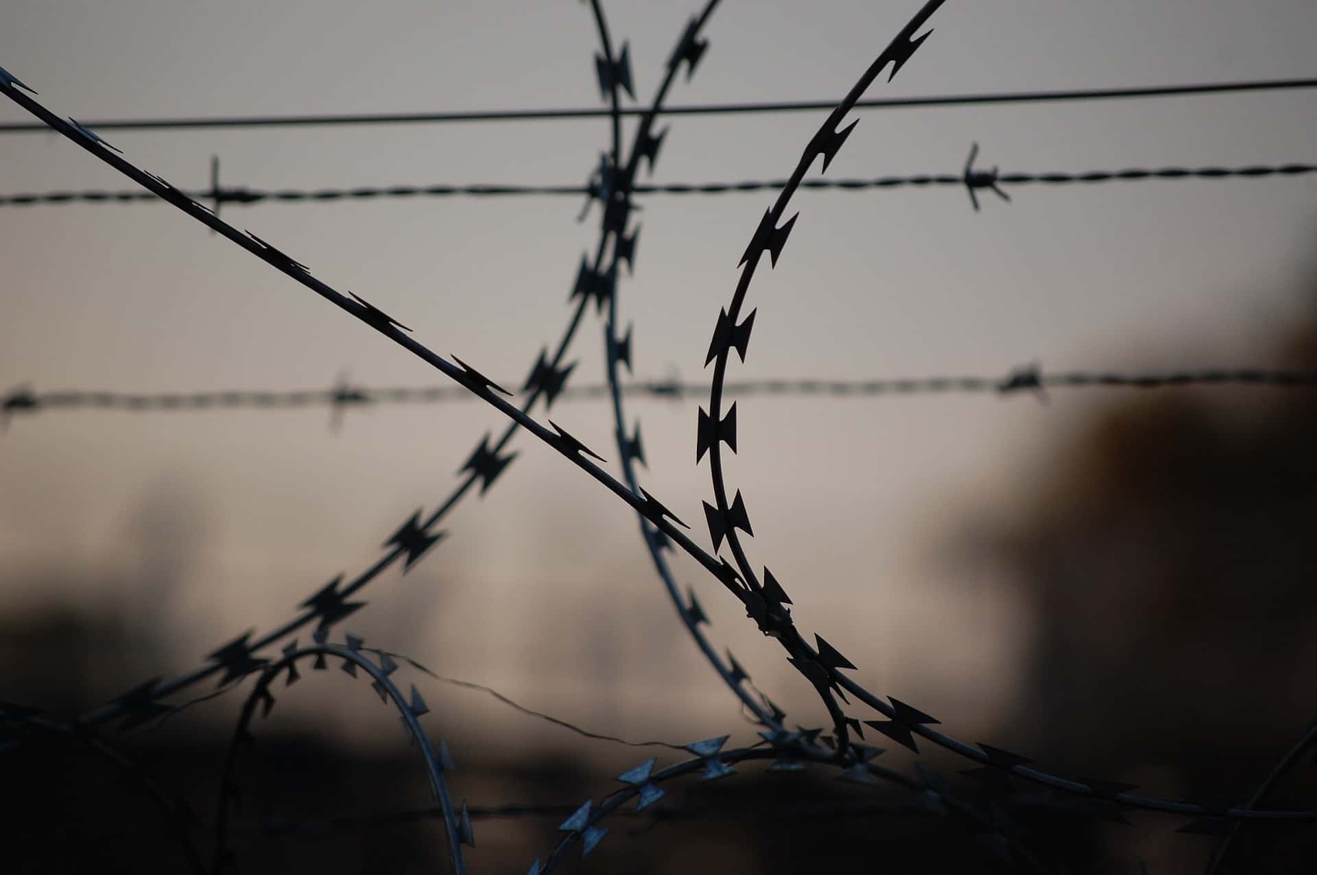 barbed-wire-765484_1920-jpg