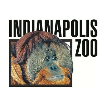 indianapolis-zoo-jpg-4