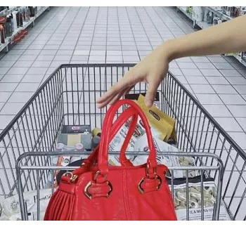purse-in-shopping-cart-jpg