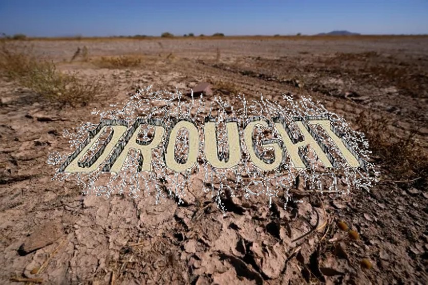 drought