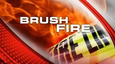 brush-fire-2