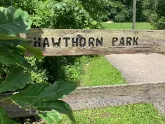 hawthorn-park-2