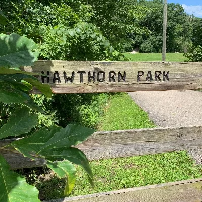 hawthorn-park-2