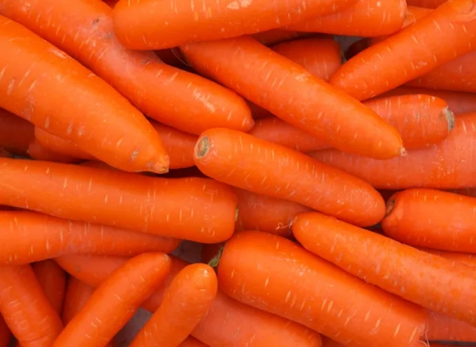 fresh carrots piled high on a market