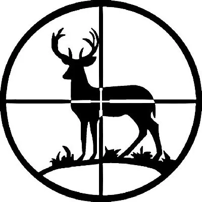 deer-hunting