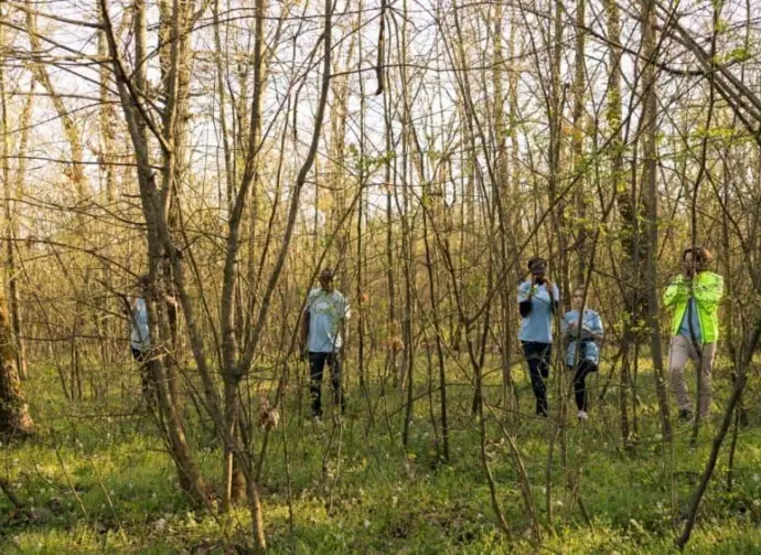 Team of lifesavers rescuers searching for a missing person^ calling their name in the forest and going through the trees to track footsteps. Search squad members looking for a lost victim.