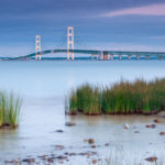 shutterstock_1497758159425157