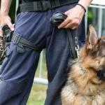 shutterstock_467148911583904