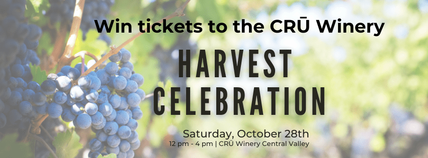 harvest-celebration-851x315