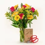 golden-fields-with-clear-vase-and-clippers-3513498