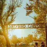dirtybird-campout-credit-keiki-knudsen-2025-billboard-1548908400