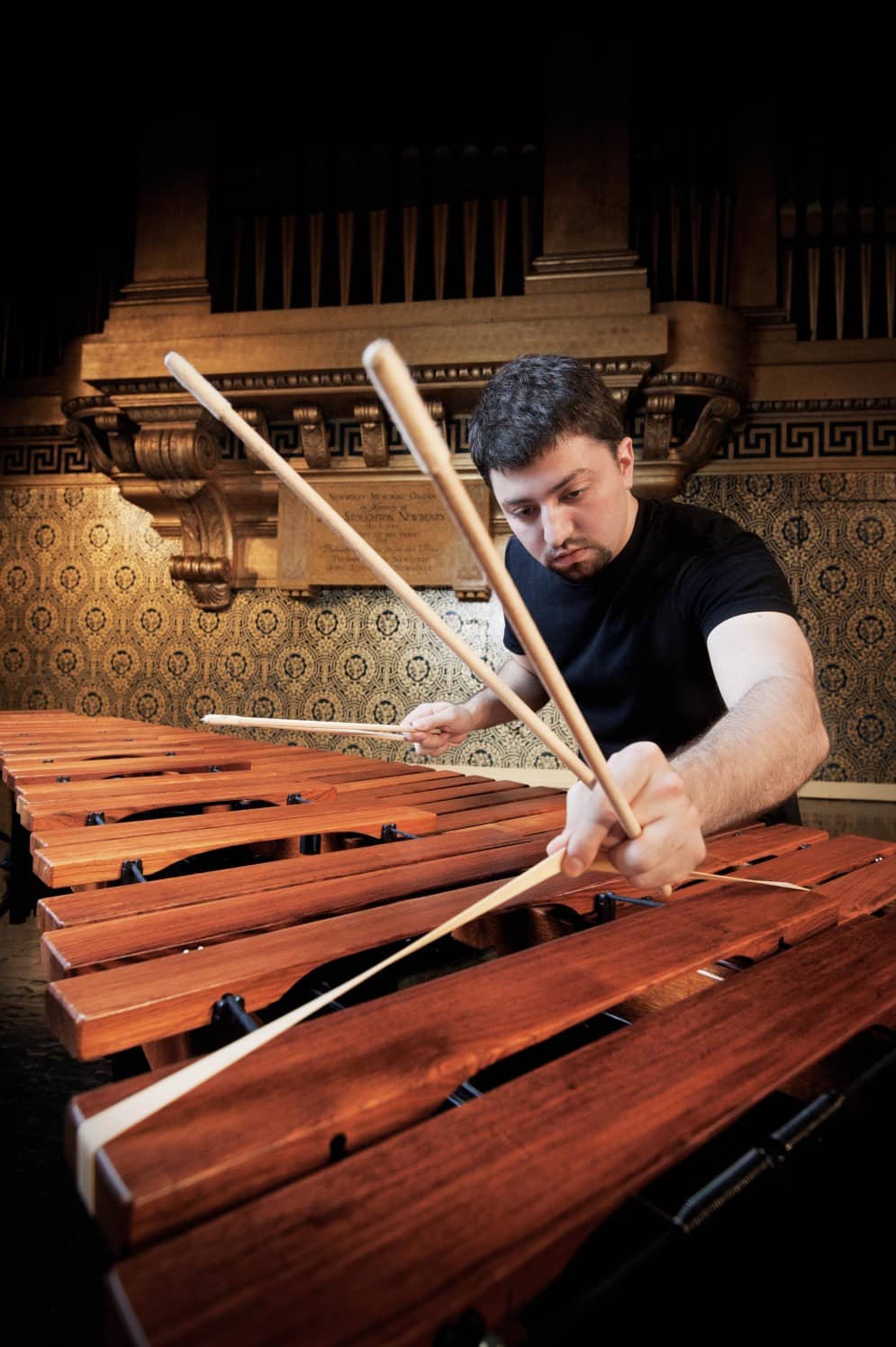 Musician plays a marimba.