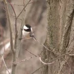 uyk2u2brv5fhdgmnqsf5d36kfq942080