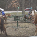 j67ocxusmnda5ptfzcgcylzsbq915071