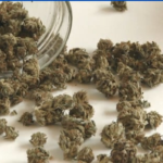 c475r3fzh5bjlfz3rrz2mu5roa298780