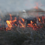 kl7tyq3lafftzmwaaqsz5xnk7u960585