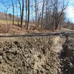 ozlzva2qsvfrbemfpzewx7x2u4167356