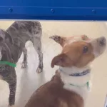 tdfoq3engrcgflxls3iymasnyu487012