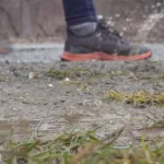 7rrguabe6bg73lso3zrgxcanbq422624