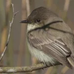 7oxmo66quzdufmmggrbop2lioq736743