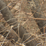 a44xh42rjfb67gls6l5gys54am36286