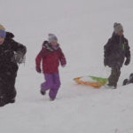 gbu3wt74sfg23eziohxcxjnqk4480549