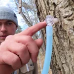 smaldofjnzemzacp4t4esoq2ii749288