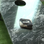 75iccxz4obhzpjosgggaj4cwiq551021