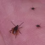 uu2gmzgjkjhrfay5hp4ce27r5q210646