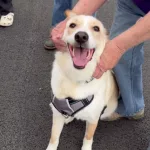 tbwtkbwsjvhtjljk4k2xv3m5ei233383