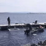 yljdago2gnhtxoscgutlwlnj3q277742