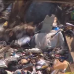 lhs277zw7rh6rjdfp5gagigctq536400