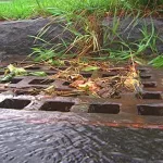 tlolxa27q5eqppmuqvdklaroca80378