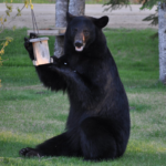 vtw7tcfju5f5tnojy4ykutnnvy530718