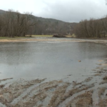 wqbjh5q5qre6tf5e2jupvh7q4i449618