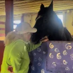 hvot2s5vnnh4ppljaj7yeztreq809976