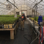 gni44vayavbd7lxv43lstxvcky952372