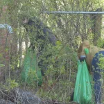 aek4hz2jevg4rfwqlgtjfwv7im849332