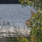 uunxavmtl5agpbeatw325376aq821424