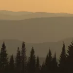 4awlj4bzindg3auicfonlska7y295293