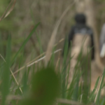 ve35w47ul5ewdbbo4n26rxisjy97256