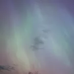 buqhrvmsgfgrdirxe23x3wg3di563751