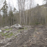 tpc3sr2zazgg7fat3b3s57cflm141397