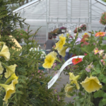 lxqwpumo5ndlvhjtmw3mljsl4a579090