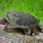 34atjvszvjgvjep5dyb4xwpfge505840