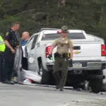 vjyaxuf3wffszlpsexr7r3s7xm585074