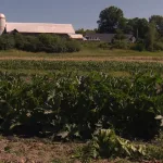 eojeqn7ggrfljdu7phlq4uibra541667