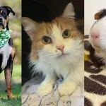 fmz7ki6xxzairin4oujhkr33m4831630