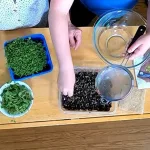 e45s2i4llzho3h5u44kahbygdm290036