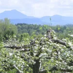 sqltgvksjbgx3jck3lcffy3k3i201334